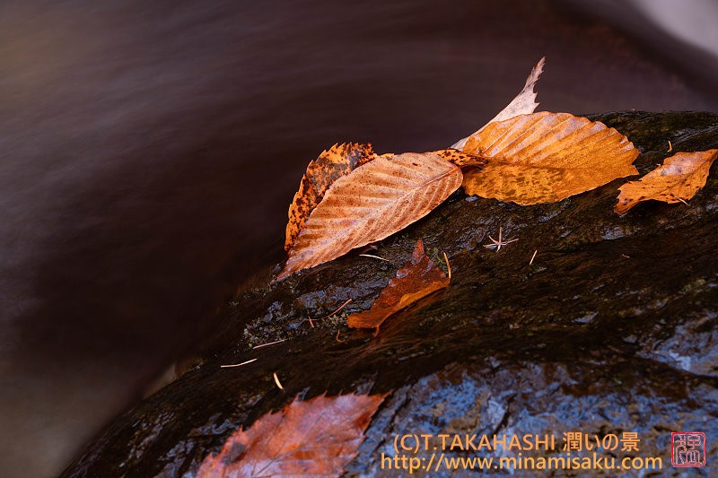 ../Images/7R251115 (59).jpg